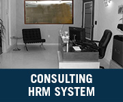 consulting hrm system